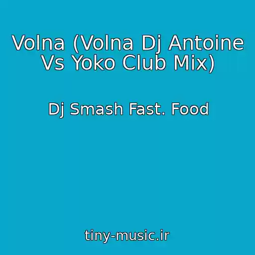 کاور آهنگ Volna (Volna Dj Antoine Vs Yoko Club Mix) از Dj Smash Fast. Food