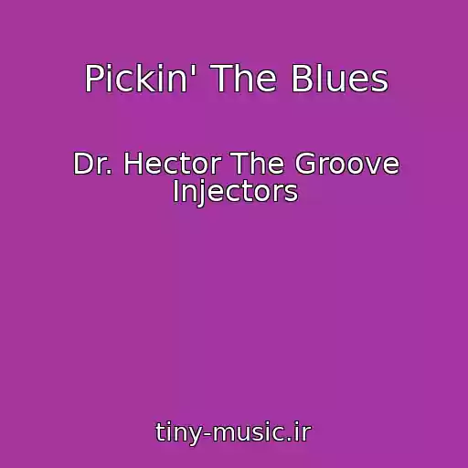 کاور آهنگ Pickin' The Blues از Dr. Hector The Groove Injectors