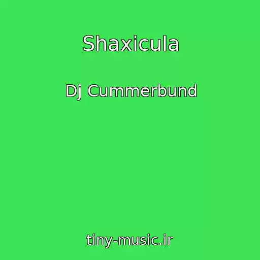 کاور آهنگ Shaxicula از Dj Cummerbund