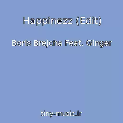کاور آهنگ Happinezz (Edit) از Boris Brejcha Feat. Ginger