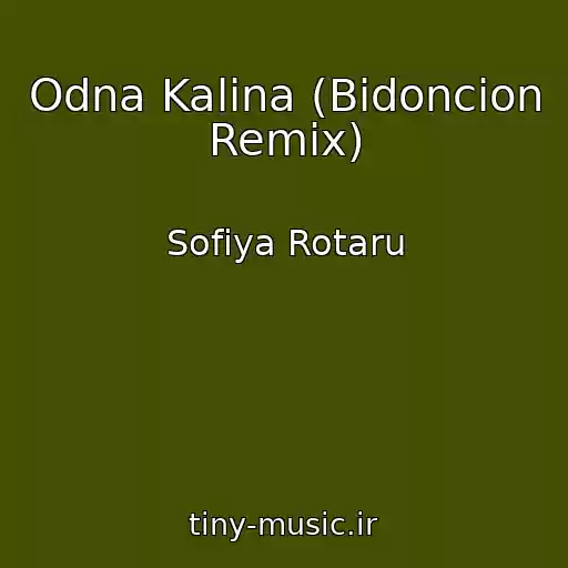 کاور آهنگ Odna Kalina (Bidoncion Remix) از Sofіya Rotaru