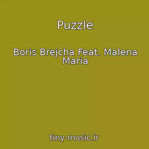 کاور آهنگ Puzzle از Boris Brejcha Feat. Malena Maria