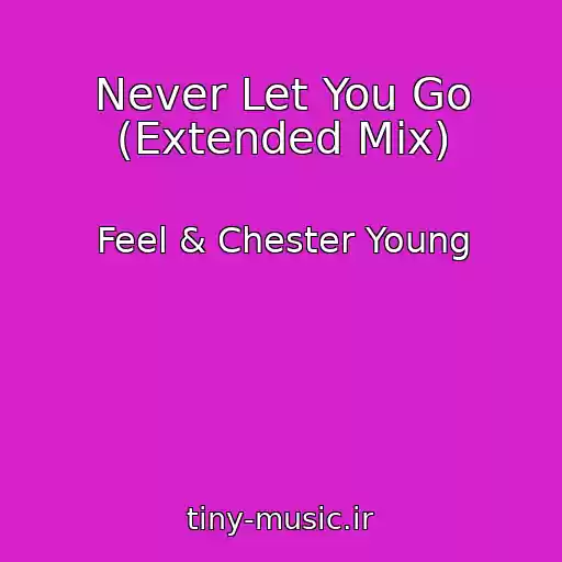 کاور آهنگ Never Let You Go (Extended Mix) از Feel & Chester Young