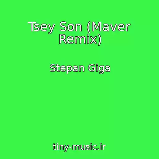 کاور آهنگ Tsey Son (Maver Remix) از Stepan Gіga