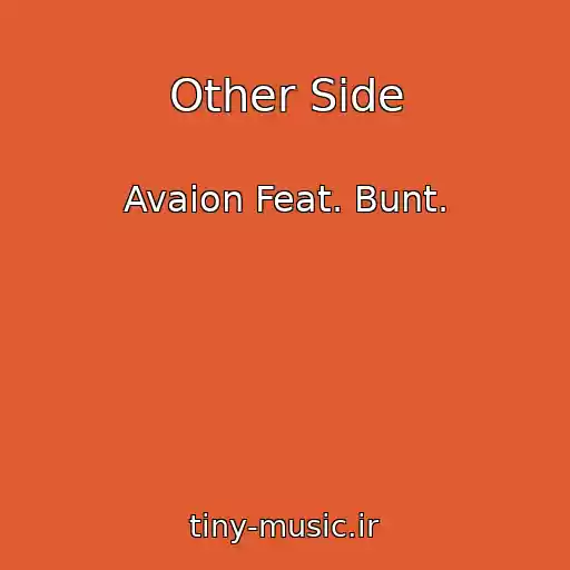 کاور آهنگ Other Side از Avaion Feat. Bunt.