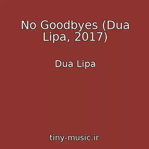 کاور آهنگ No Goodbyes (Dua Lipa, 2017) از Dua Lipa