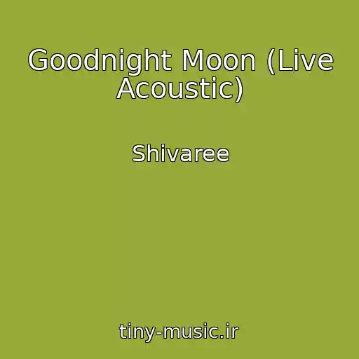 کاور آهنگ Goodnight Moon (Live Acoustic) از Shivaree