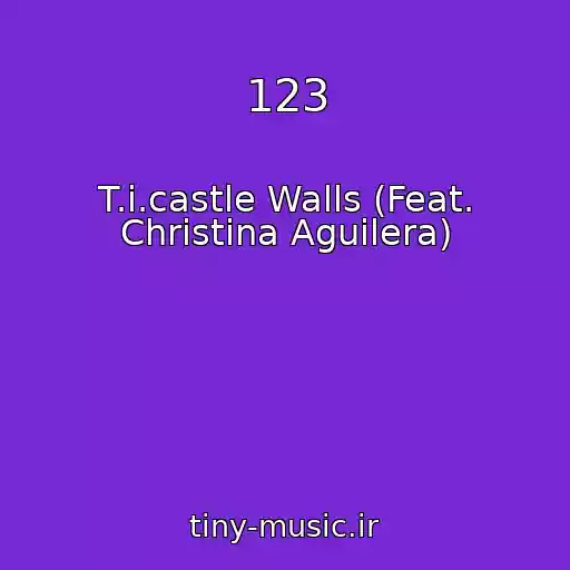 کاور آهنگ 123 از T.i.castle Walls (Feat. Christina Aguilera)