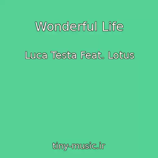 کاور آهنگ Wonderful Life از Luca Testa Feat. Lotus