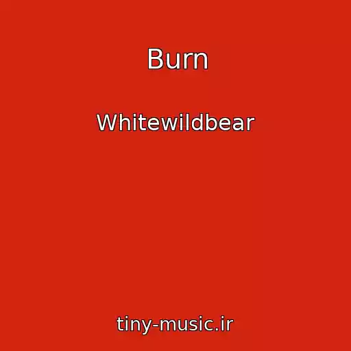 کاور آهنگ Burn از Whitewildbear