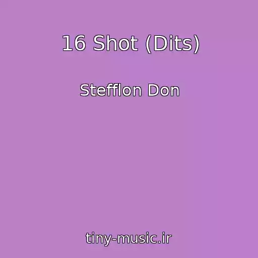 کاور آهنگ 16 Shot (Dits) از Stefflon Don