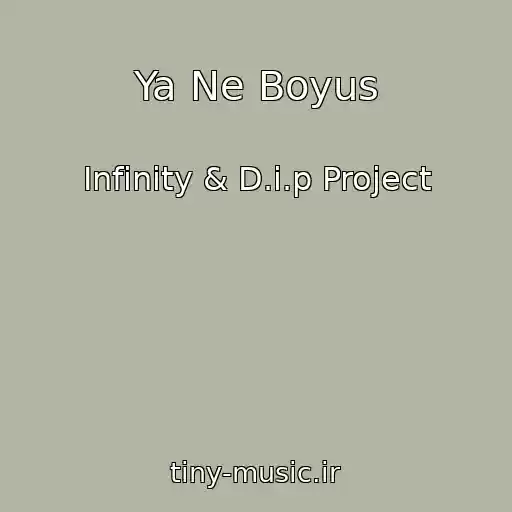 کاور آهنگ Ya Ne Boyus از Infinity & D.i.p Project