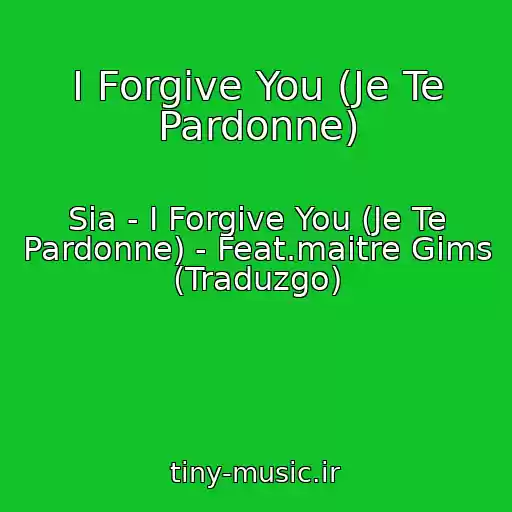 کاور آهنگ I Forgive You (Je Te Pardonne) از Sia - I Forgive You (Je Te Pardonne) - Feat.maitre Gims (Traduzgo)