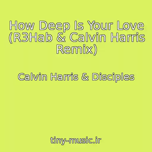 کاور آهنگ How Deep Is Your Love (R3Hab & Calvin Harris Remix) از Calvin Harris & Disciples