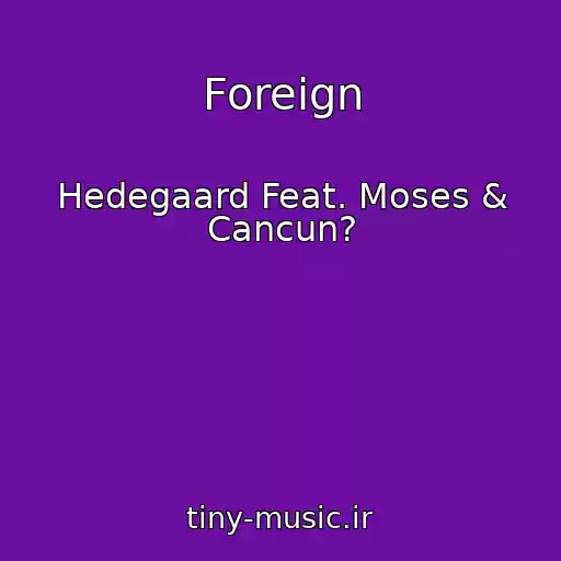 کاور آهنگ Foreign از Hedegaard Feat. Moses & Cancun?