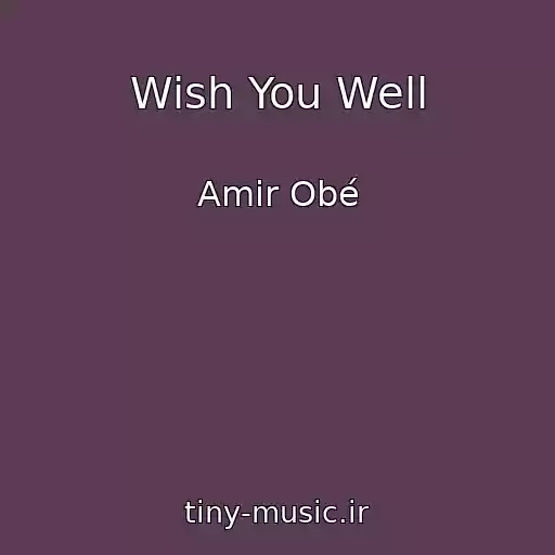 کاور آهنگ Wish You Well از Amir Obé