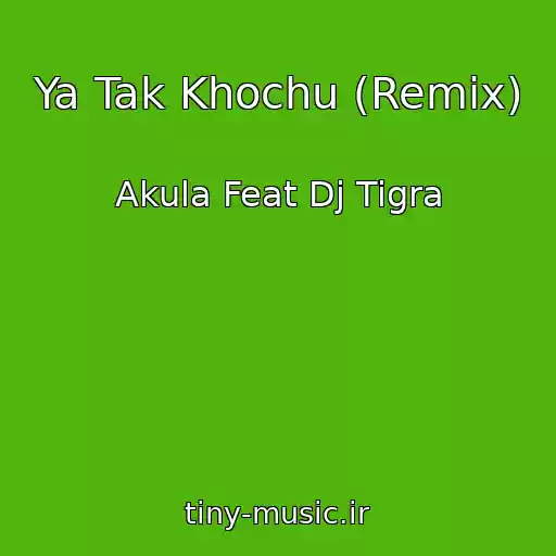 کاور آهنگ Ya Tak Khochu (Remix) از Akula Feat Dj Tigra