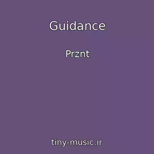 کاور آهنگ Guidance از Prznt