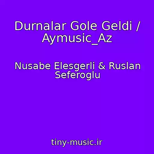 کاور آهنگ Durnalar Gole Geldi / Aymusic_Az از Nusabe Elesgerli & Ruslan Seferoglu