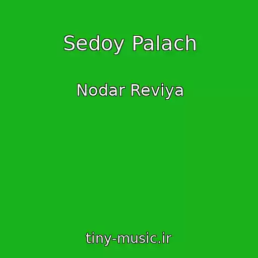 کاور آهنگ Sedoy Palach از Nodar Reviya
