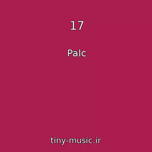 کاور آهنگ 17 از Palc