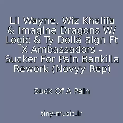 کاور آهنگ Lil Wayne, Wiz Khalifa & Imagine Dragons W/ Logic & Ty Dolla $Ign Ft X Ambassadors - Sucker For Pain Bankilla Rework (Novyy Rep) از Suck Of A Pain