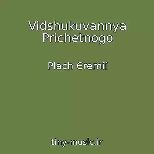 کاور آهنگ Vidshukuvannya Prichetnogo از Plach Єremії