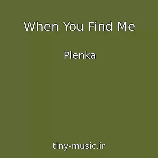 کاور آهنگ When You Find Me از Plenka