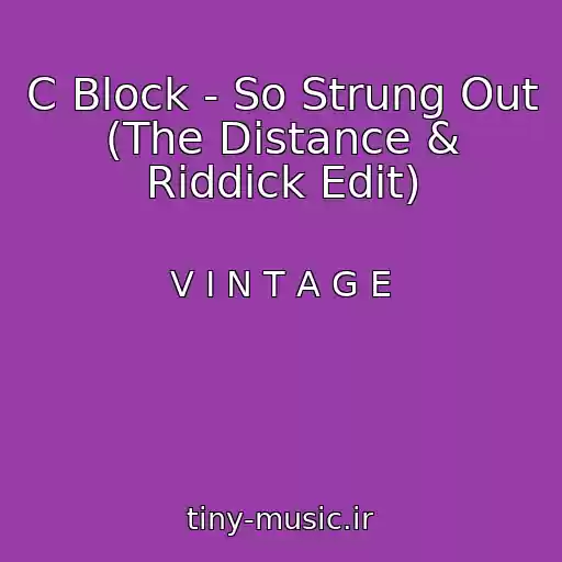 کاور آهنگ C Block - So Strung Out (The Distance & Riddick Edit) از V I N T A G E