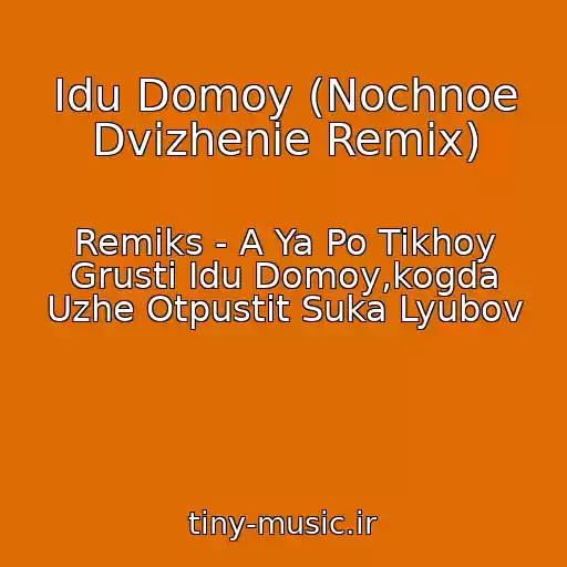 کاور آهنگ Idu Domoy (Nochnoe Dvizhenie Remix) از Remiks - A Ya Po Tikhoy Grusti Idu Domoy,kogda Uzhe Otpustit Suka Lyubov