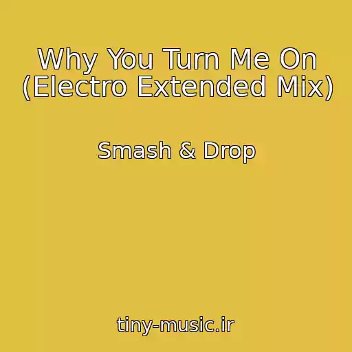 کاور آهنگ Why You Turn Me On (Electro Extended Mix) از Smash & Drop
