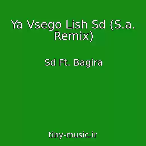 کاور آهنگ Ya Vsego Lish Sd (S.a. Remix) از Sd Ft. Bagira