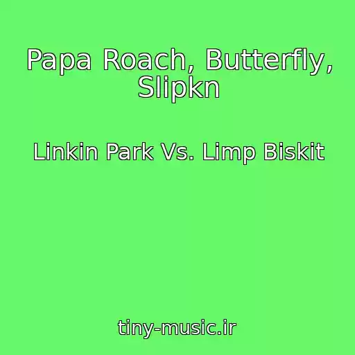 کاور آهنگ Papa Roach, Butterfly, Slipkn از Linkin Park Vs. Limp Biskit
