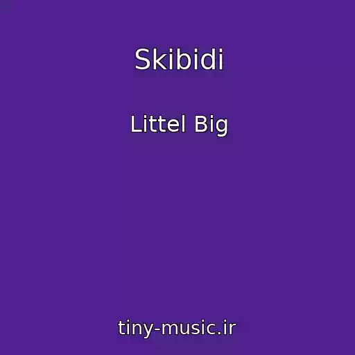 کاور آهنگ Skibidi از Littel Big