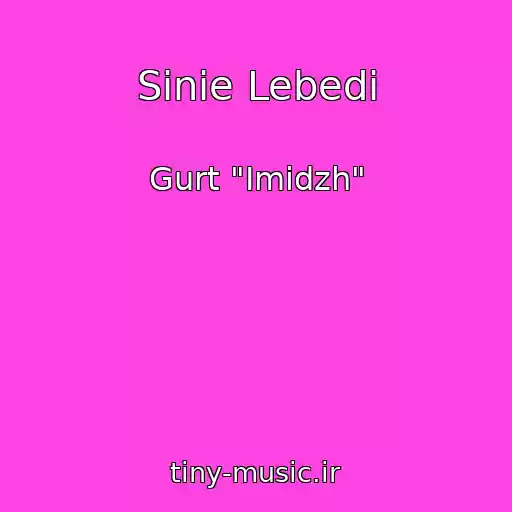کاور آهنگ Sinie Lebedi از Gurt "Іmіdzh"