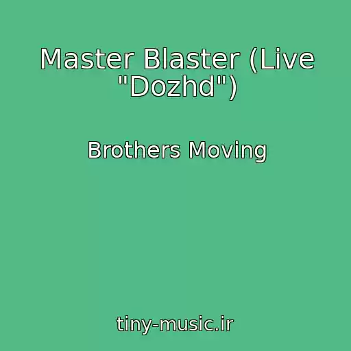 کاور آهنگ Master Blaster (Live "Dozhd") از Brothers Moving
