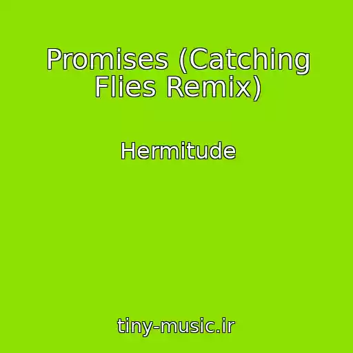 کاور آهنگ Promises (Catching Flies Remix) از Hermitude