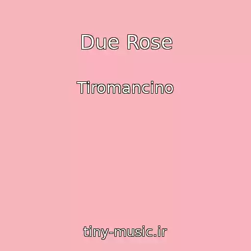 کاور آهنگ Due Rose از Tiromancino