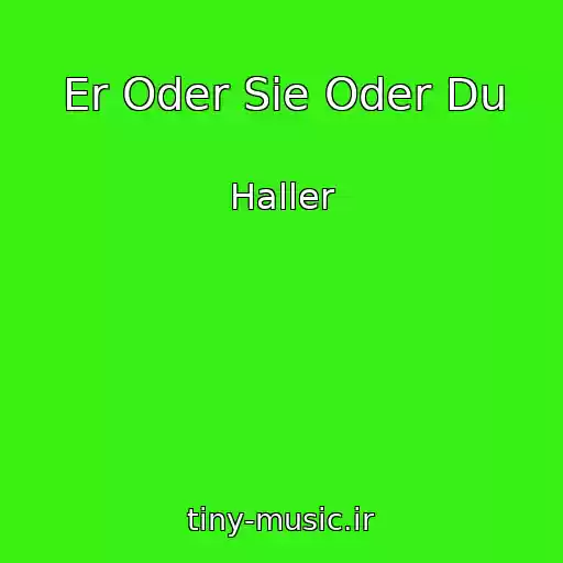 کاور آهنگ Er Oder Sie Oder Du از Haller