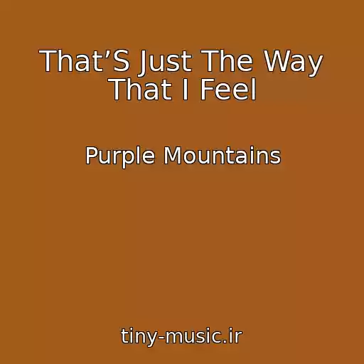 کاور آهنگ That’S Just The Way That I Feel از Purple Mountains