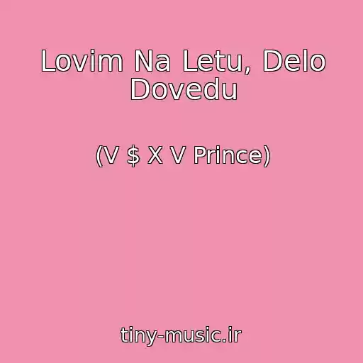 کاور آهنگ Lovim Na Letu, Delo Dovedu از (V $ X V Prince)