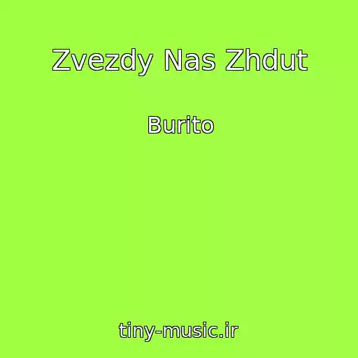 کاور آهنگ Zvezdy Nas Zhdut از Burito