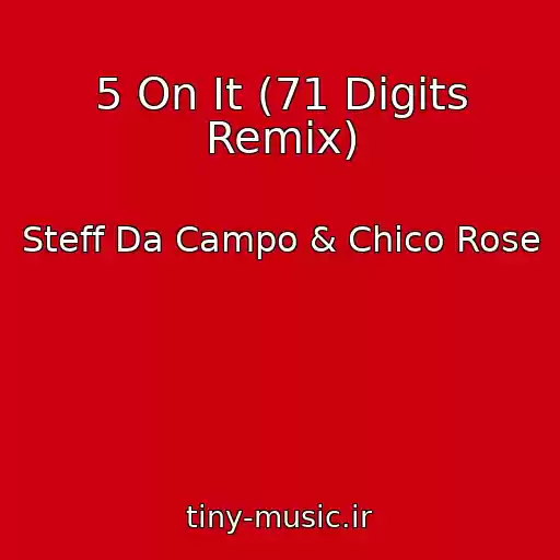 کاور آهنگ 5 On It (71 Digits Remix) از Steff Da Campo & Chico Rose