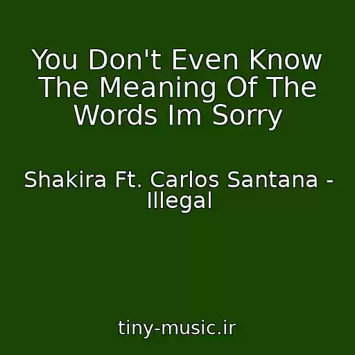 کاور آهنگ You Don't Even Know The Meaning Of The Words Im Sorry از Shakira Ft. Carlos Santana - Illegal