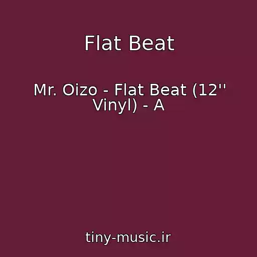 کاور آهنگ Flat Beat از Mr. Oizo - Flat Beat (12'' Vinyl) - A