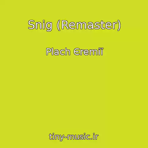 کاور آهنگ Snіg (Remaster) از Plach Єremії