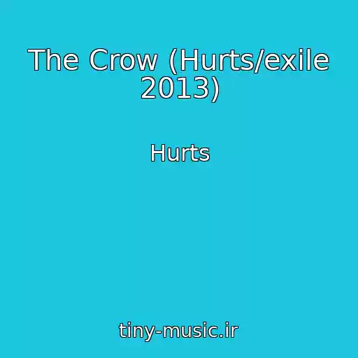 کاور آهنگ The Crow (Hurts/exile 2013) از Hurts