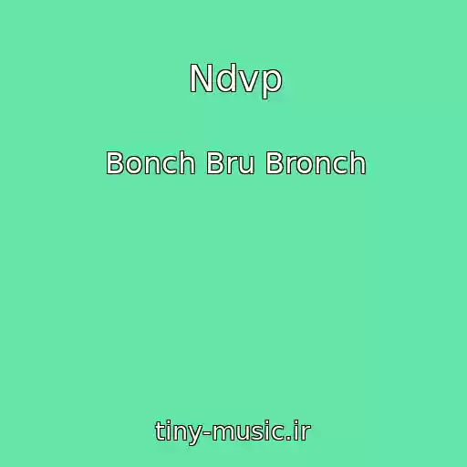 کاور آهنگ Ndvp از Bonch Bru Bronch