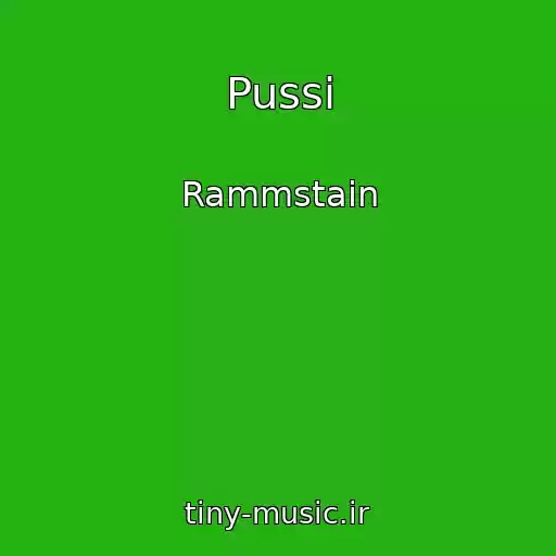 کاور آهنگ Pussi از Rammstain