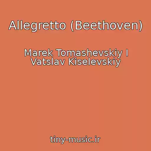 کاور آهنگ Allegretto (Beethoven) از Marek Tomashevskiy I Vatslav Kiselevskiy